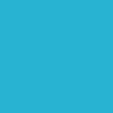 BD PAPER BACK CORTEZ BLUE 1,36x11m item 07173/2