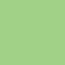 FONDALE CARTA BD SPRING GREEN 1,36x11m art. 07174/2