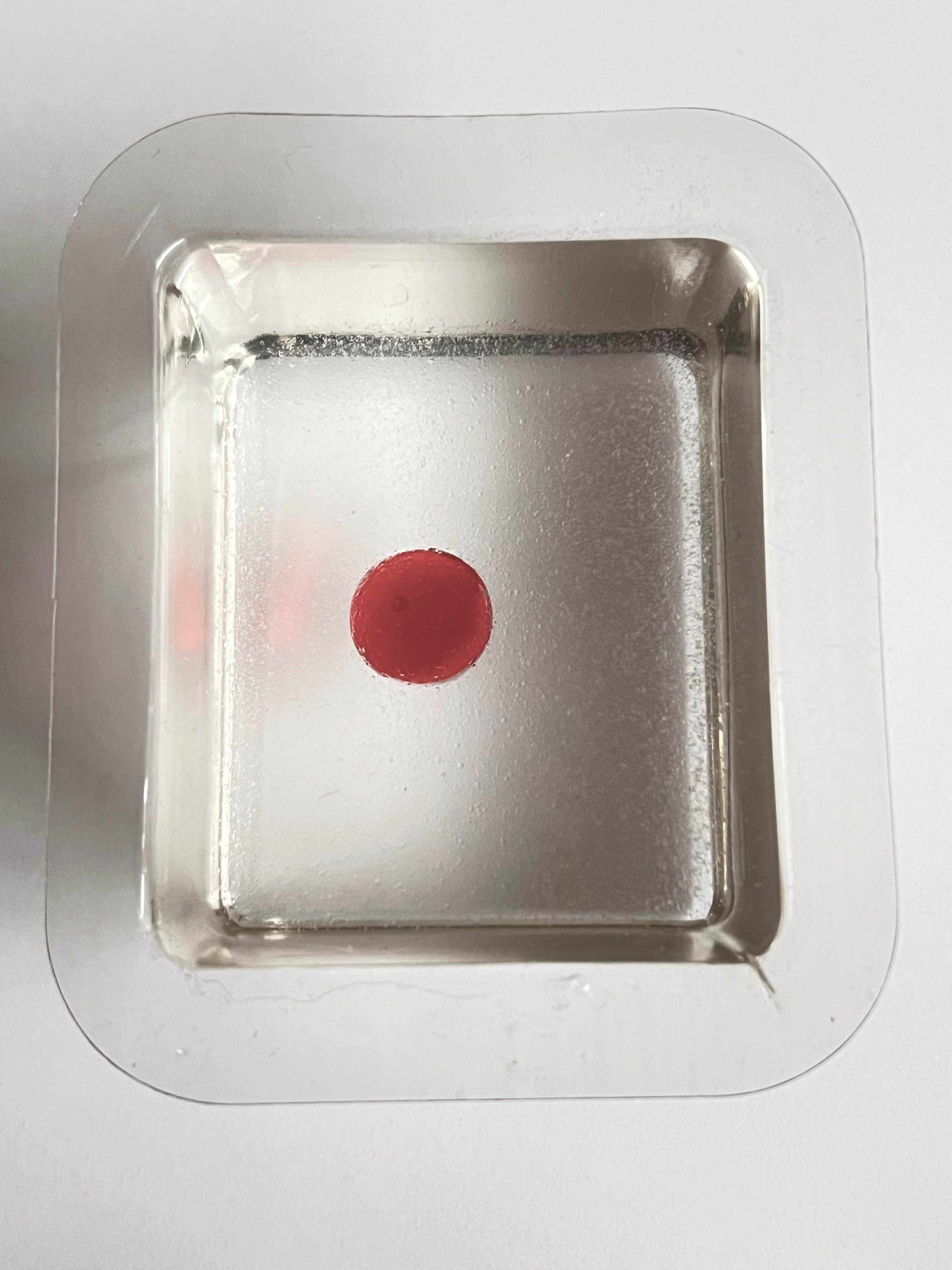 ICEBERG 2x1000 ml Item 01637